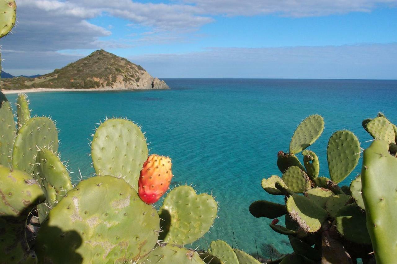 Casa Casciu La Collina Sul Mare Βίλα Costa Rei Εξωτερικό φωτογραφία